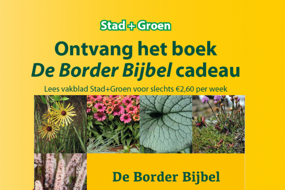 Een klein voorproefje van de achterkant van Stad + Groen 2 van 2026.